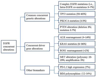 Frontiers | Concurrent Genetic Alterations and Other Biomarkers 